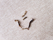 Load image into Gallery viewer, A Trip to the Deep Forest | Ancient Tree Raw Pu’er
