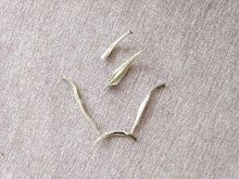 Load image into Gallery viewer, Silver Needle for TLC