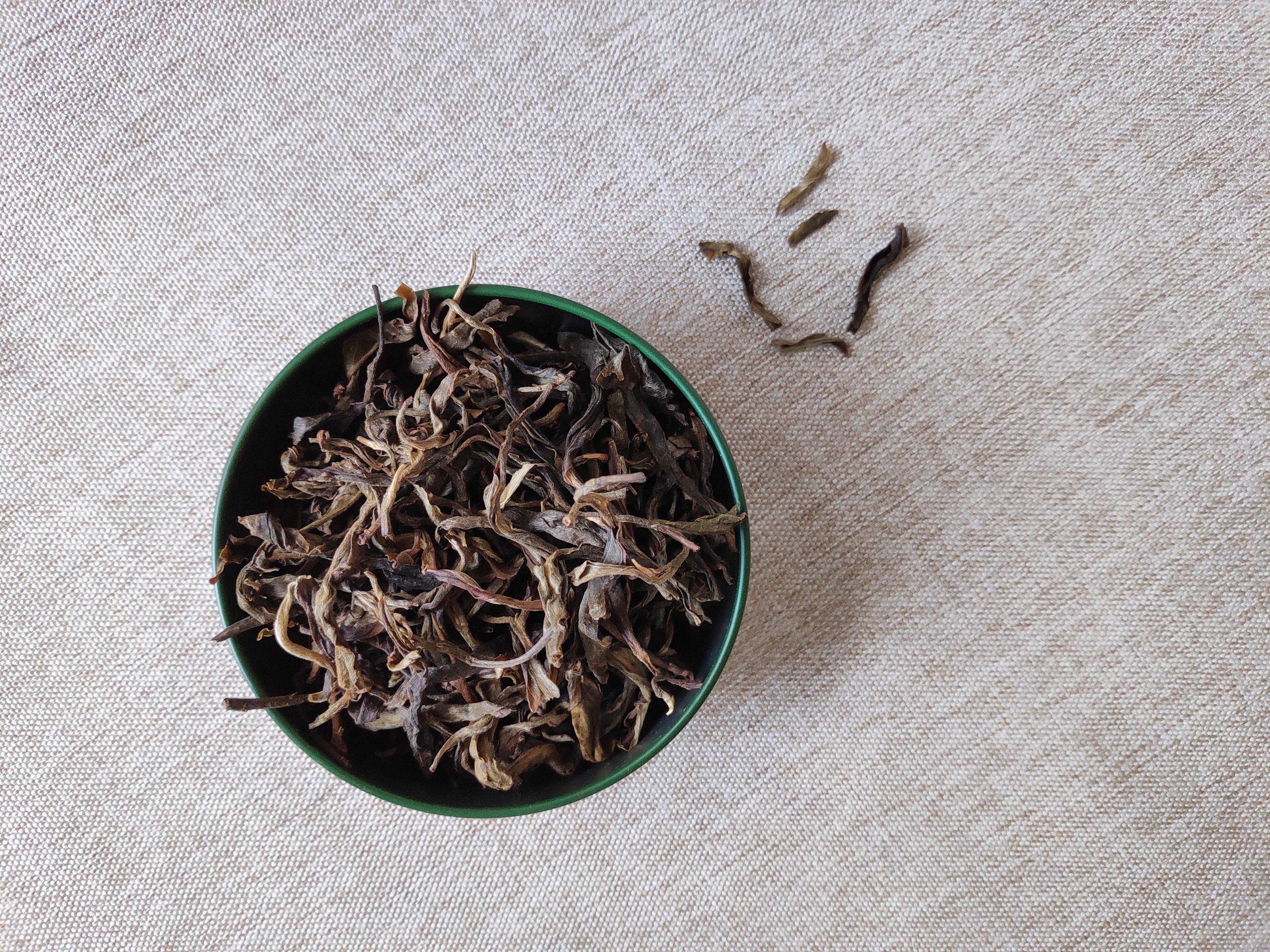 A Trip to the Deep Forest | Ancient Tree Raw Pu’er