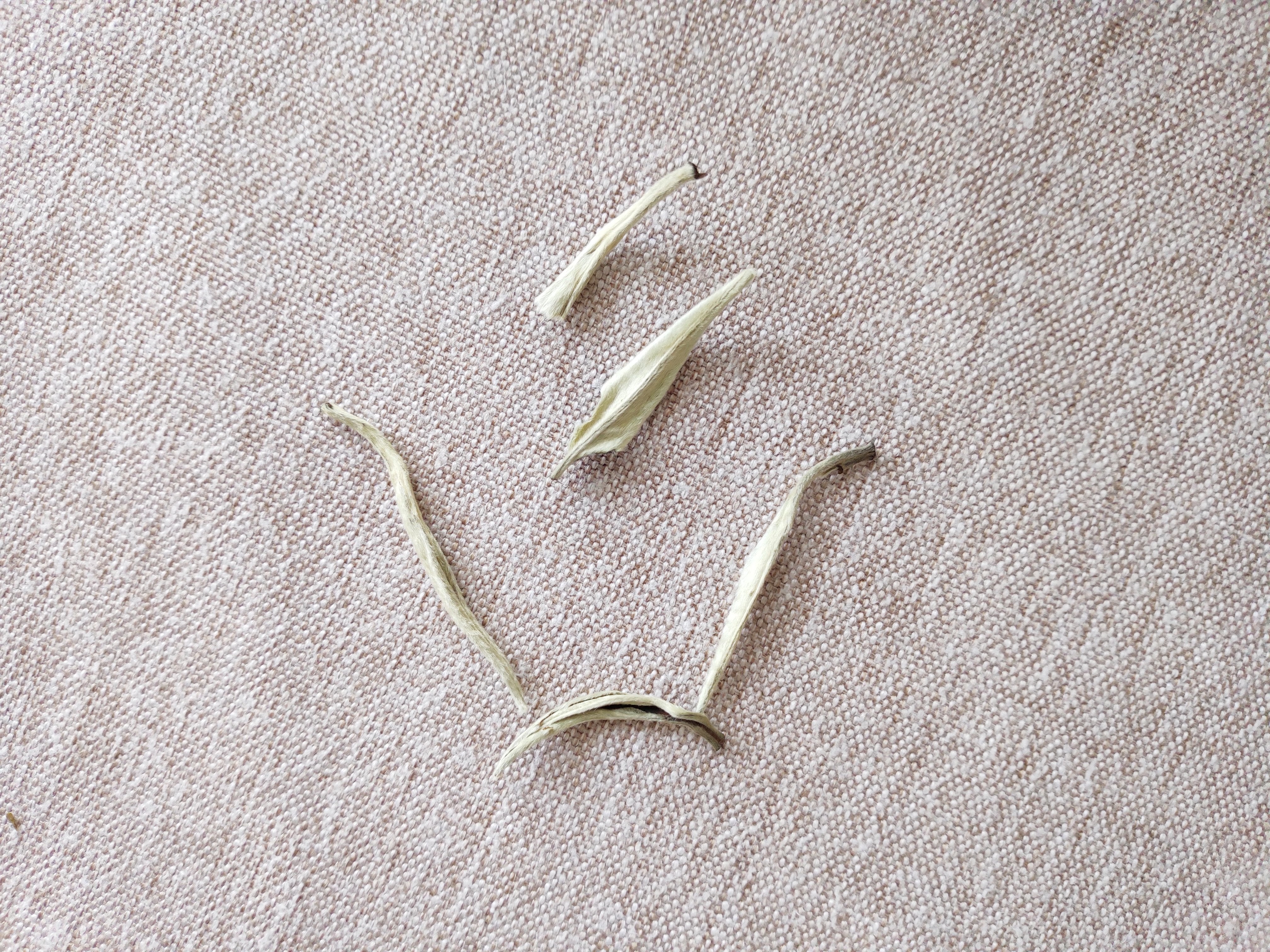 Silver Needle for TLC