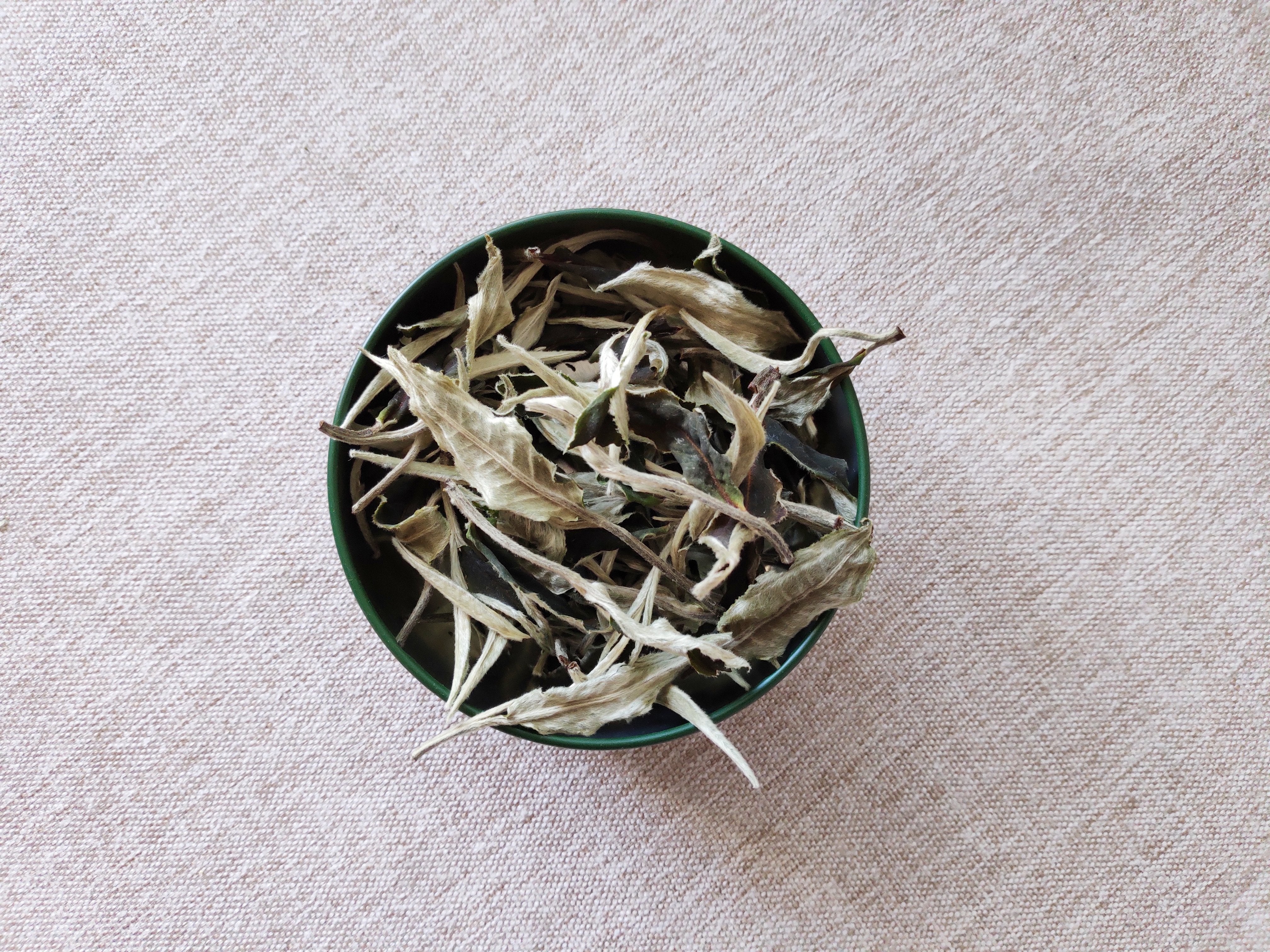 Dancing in The Dark | Moonlight White